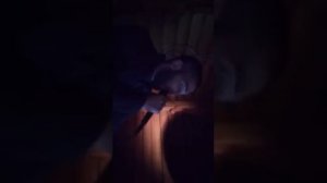 Казбек Бекмурзов