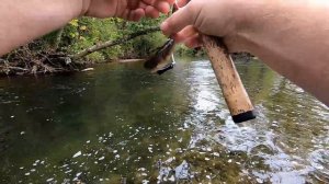 Речная форель