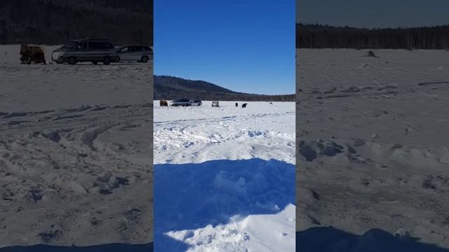 Рыбалка была удачной)))... смотреть онлайн