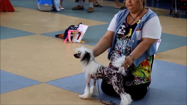 Эрик и Эня!!! смотреть онлайн