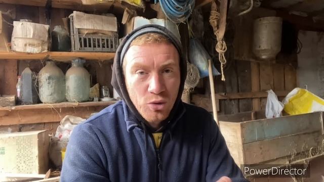 РЕКОРДНЫЕ И МИНИМАЛЬНЫЕ УДОИ МОИХ КОРОВ и КОЗ ⬆️⬇️????? смотреть онлайн