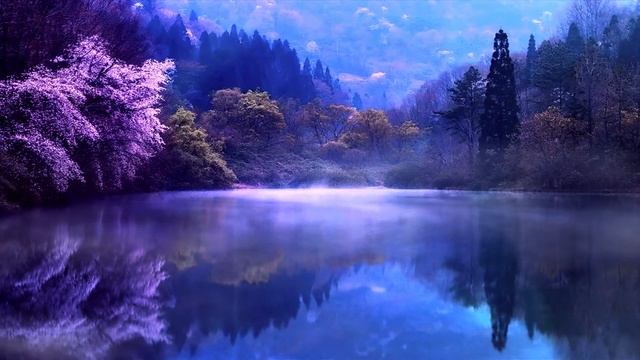 Сказочный лес ✨ fairy forest смотреть онлайн