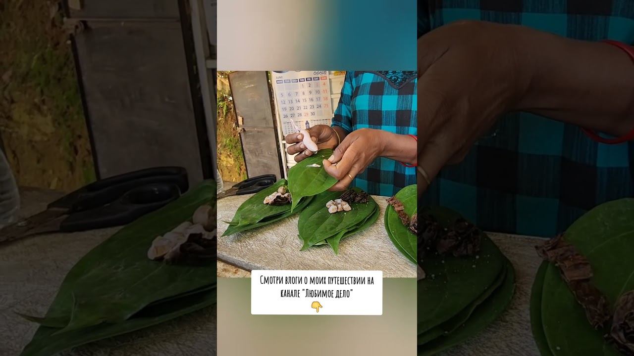 Мы её покорили! смотреть онлайн