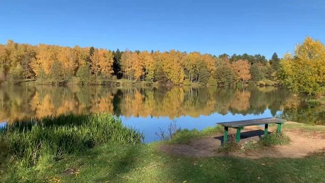 Осенний влог | гуляю в лесу у озера | уютный вечер | новый айфон | работа в блоге | день со мной смотреть онлайн