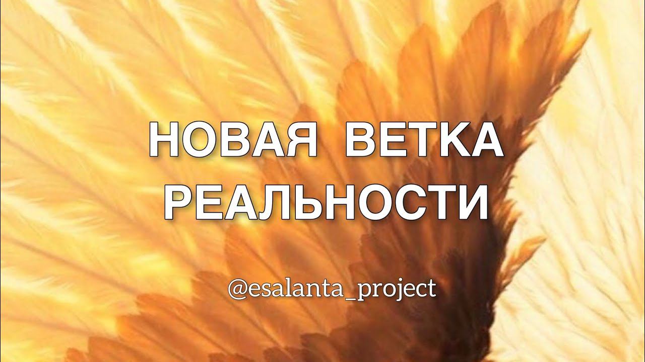 НОВАЯ ВЕТКА РЕАЛЬНОСТИ