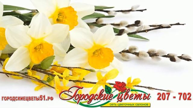 Сеть магазинов "Городские цветы" смотреть онлайн