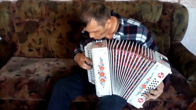 Демкин цыганочка на гармони с миди системой Littau смотреть онлайн