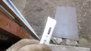 Замена лямбды номер 2 тойота приус 20