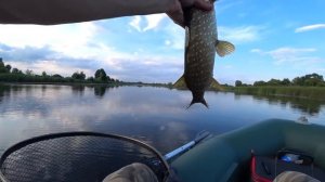 НА ЭТУ ПРИМАНКУ ХОРОШО КЛЮЕТ ЩУКА  ЛЕТОМ В ЖАРУ!  Рыбалка на спиннинг 2020.