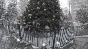 КАЛИНИНГРАД КУРОРТНЫЕ ГОРОДА ЗИМОЙ - СВЕТЛОГОРСК / ЗЕЛЕНОГРАДСК И ДОСТОПРИМЕЧАТЕЛЬНОСТИ