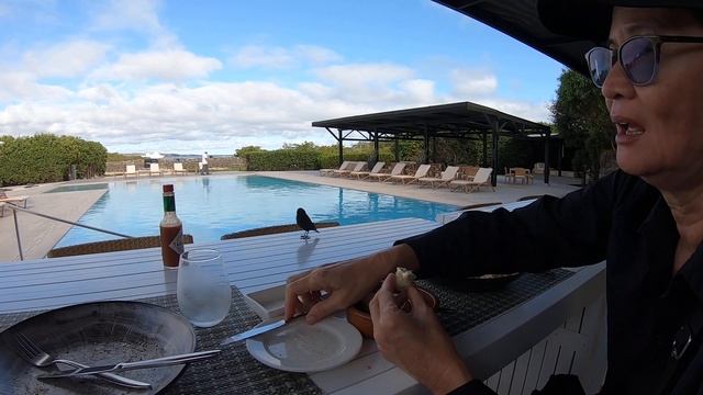 Tortuga bay...the best of GALAPAGOS islands.(5) смотреть онлайн