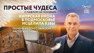КИПРСКАЯ ИКОНА В ПОДМОСКОВЬЕ ИСЦЕЛИЛА ЯЗВЫ. ПОЧЕМУ РЯДОМ С ОБРАЗОМ РАСТЁТ КУСТ ИВЫ? ПРОСТЫЕ ЧУДЕСА