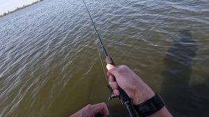 Фокино 23.08.2024 Джиг