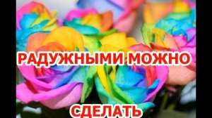КАК СДЕЛАТЬ РАДУЖНЫЕ РОЗЫ, АСТРЫ, ХРИЗАНТЕМЫ И ЗАРАБОТАТЬ.