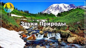 Релакс ? 1 час Горный ручей. Расслабляющие звуки природы ? Relax