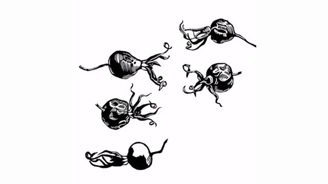 Процесс рисования шиповника смотреть онлайн