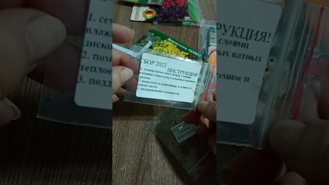 ##ещё немножко семян цветов## на сезон 2024# смотреть онлайн