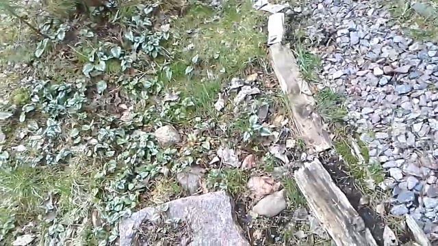 Я на даче смотреть онлайн