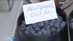 В Смоленске выявили чернику с превышением уровня радиации в 4 раза