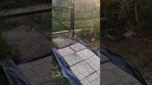 Дорожка в саду. Положила плёнку под плиты, чтобы не росла трава.