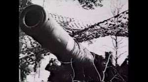 Давно мы дома не были