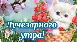 Рано солнышко встает! Счастье людям всем дает! Доброе утро!