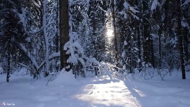 Красивая расслабляющая музыка • Спокойная фортепианная музыка ? Yспокаивающая музыка для нервов смотреть онлайн