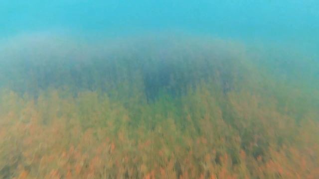 Под водой на озере Увильды - пришла жара на Южный Урал смотреть онлайн