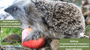 Ежик. Реалистичная игрушка (работа выполнена на заказ) 2018 год