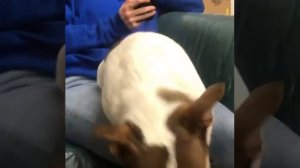 Dont Be All Mean Mr.Bubz