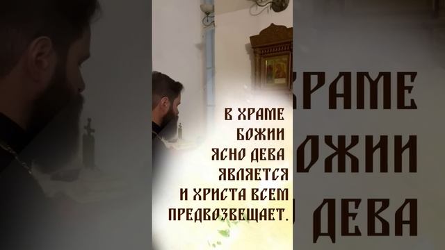 Пресвятая Богородица спаси нас! С праздником введения во храм Пресвятой Богородицы! Помолимся!