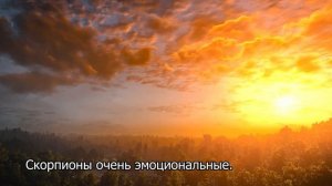 СКОРПИОН - 10 Фактов об этом знаке.