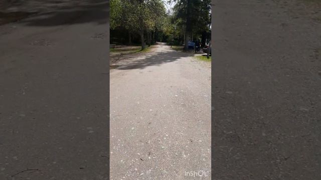 Влог 97🇨🇦КЕМПИНГ В КАНАДЕ🌳🌲Обзор отдыха и Прогулка по Дикому Лесу😱😓