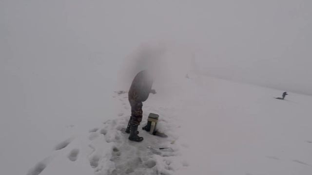 Олонец ладожская корюшка смотреть онлайн