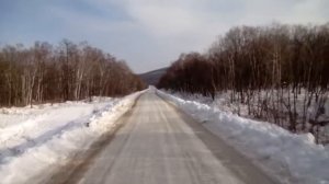 Тернейский район Приморский край. Олени на дороге. Жесть