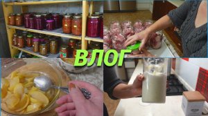 Влог/Наделали тушенки в автоклаве/Что из запасов осталось в подвале/Бумажная волокита@SubTatiana