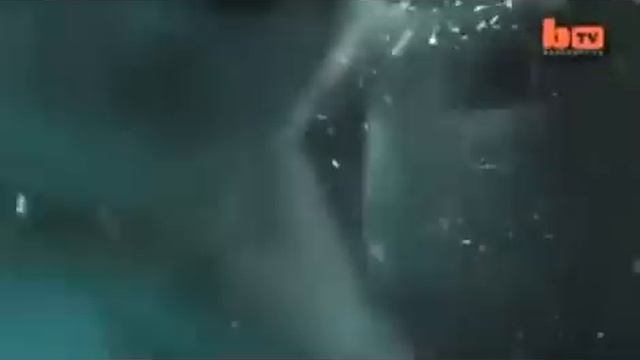 Белый медведь дома смотреть онлайн