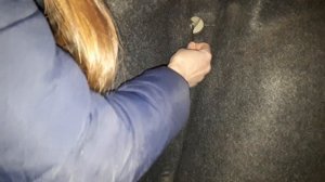 Замена заднего фонаря пежо 307 делают девушки)