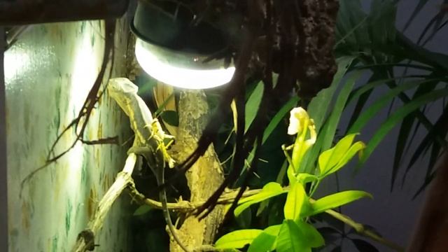 Огромный зоомагазин в Австрии смотреть онлайн