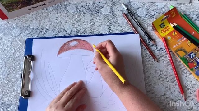 Шапарева Е.А. Занятие по рисованию в средней группе на тему: «Грибы»