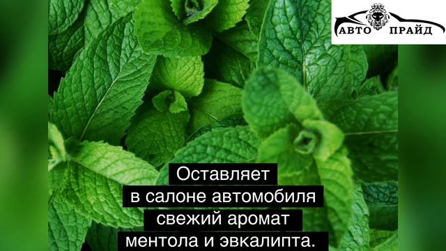 Как устранить запах в автомобиле за 30 минут ? смотреть онлайн