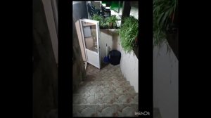 Новый обзор. Крутой отель в Адыгее, ст. Даховская🔥🔥🔥