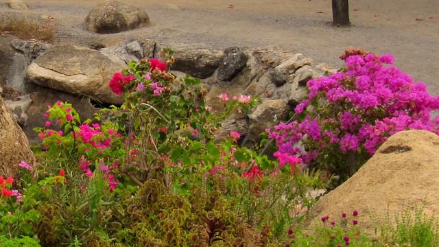 Не забывай, пиши хоть иногда. Как отрадно на пути встречать таких, как ты людей! Стих-открытка 💐🎁 смотреть онлайн