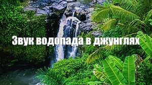 Водопад l Джунгли l Пение птиц со звуками природы для сна и успокоения нервной системы