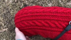 Свитер для таксы