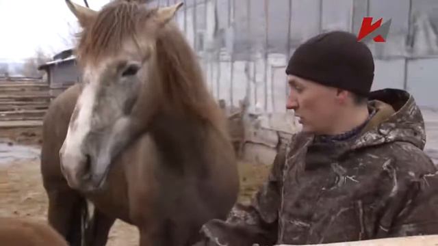Общинники