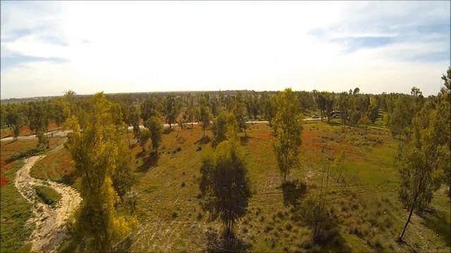 tricopter in flowers смотреть онлайн