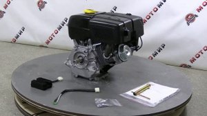 Двигатель LIFAN 11 л.с. 182F (вал d25 мм) с катушкой освещения 12В 18А 216Вт