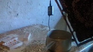 как пересадить матку из клеточки под колпачёк