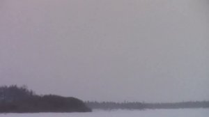 Вездеход Трэкол. Рабочие будни Трэколиста. Часть-1.